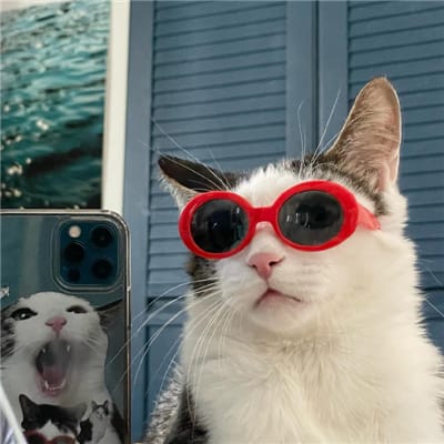 Akbar Tanjung's avatar